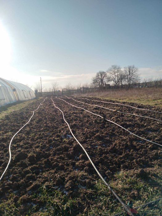 Оранжерии и открити площи под наем Варна с. Куманово 80лв./мес.