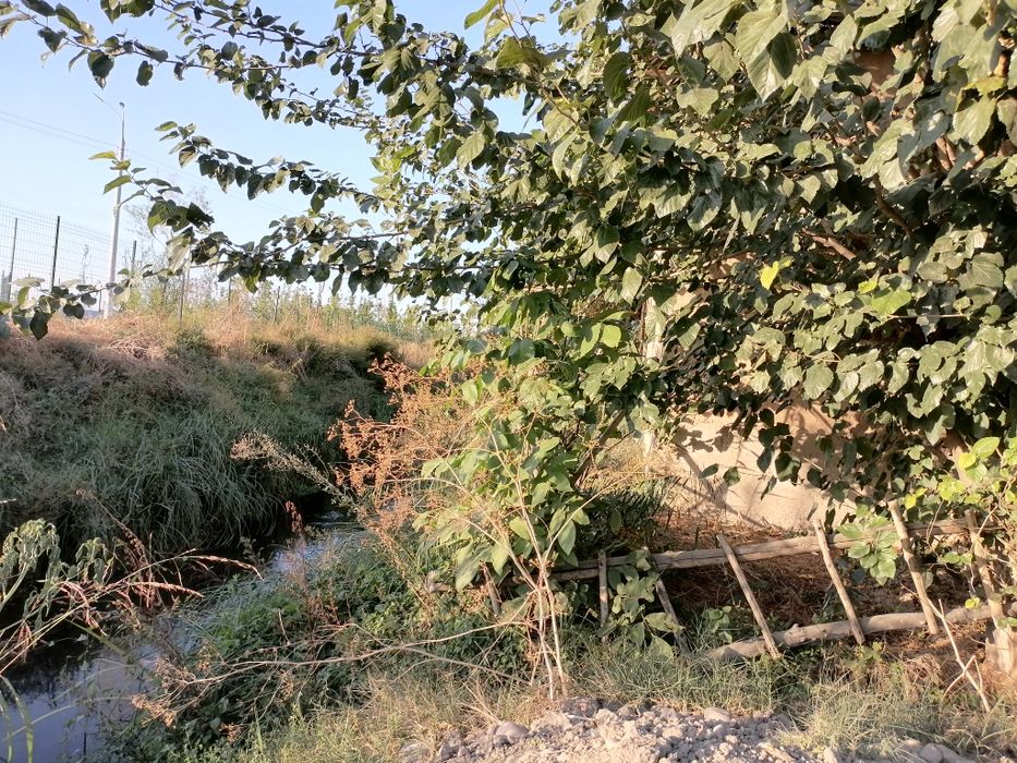 Продаётся дом, срочно