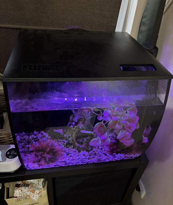 Аквариум Fluval 57л