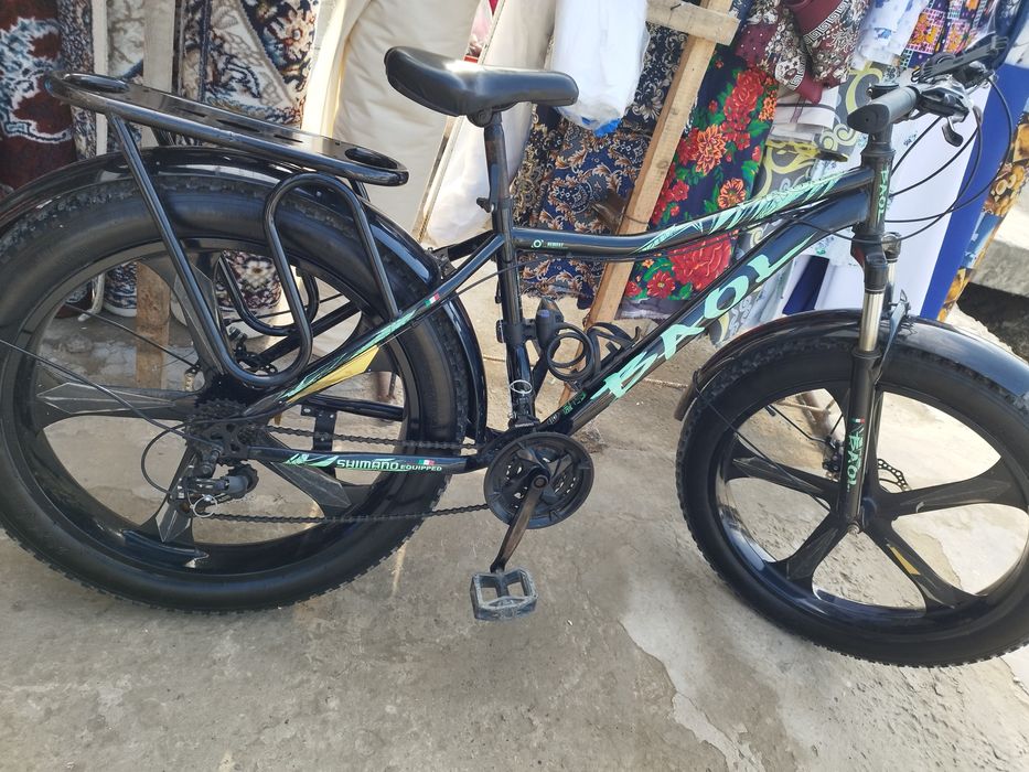 velo baol shroki balinli