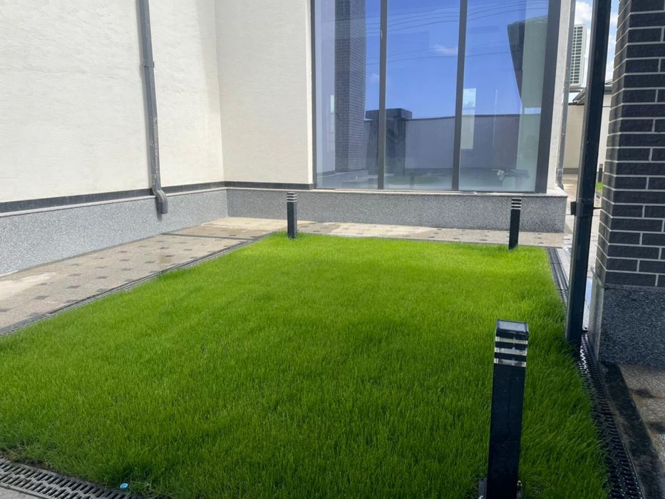 Газон,автополив,полив