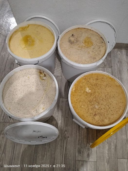 Мед Алтайский оптом