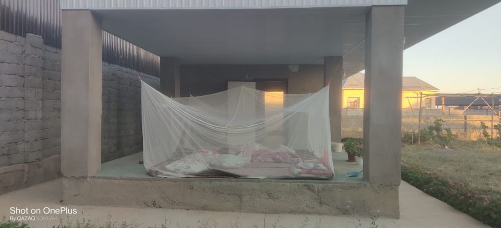 Масахана корейскии сеткадан