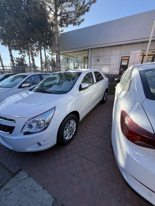 Cobalt 2026 без нотариусов