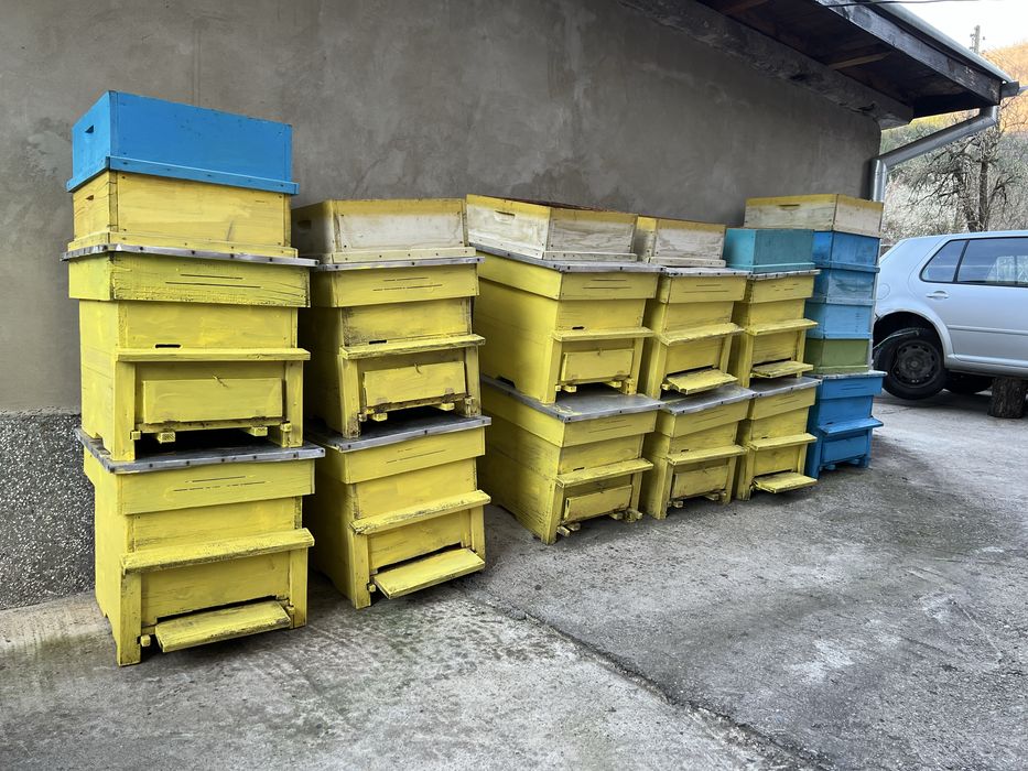 Кошери с магазини Дадан блад - десет рамкови