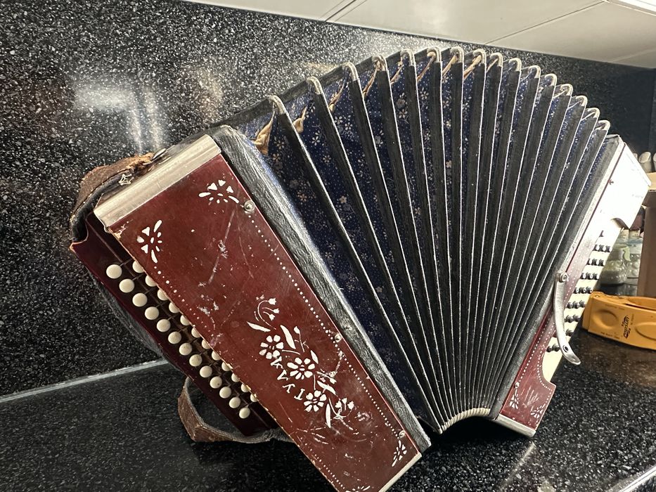 Гармошка гармонь тула