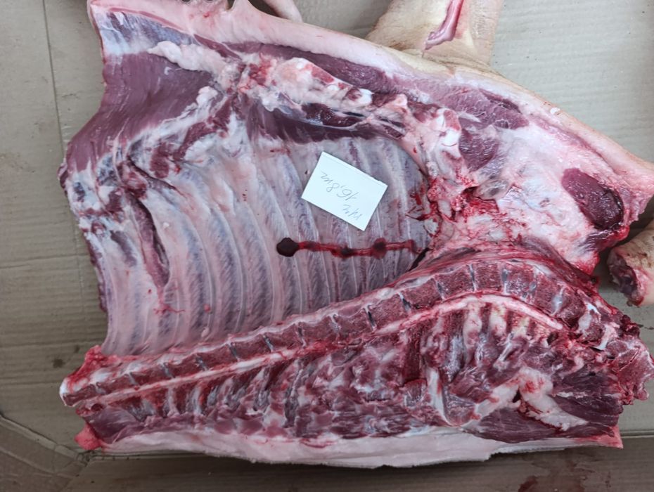 Продам свинину передняя часть мяса