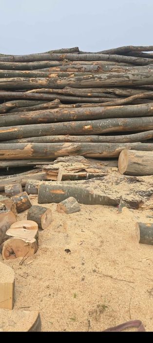 Vând lemne de foc esență tara