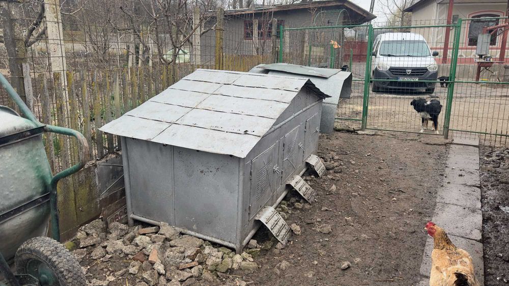 Coteț solid pentru găini / rațe / gâște – ideal pentru clocit și protecție maximă