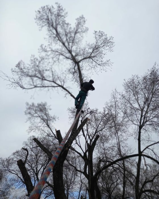 Спил деревьев от 10000тг