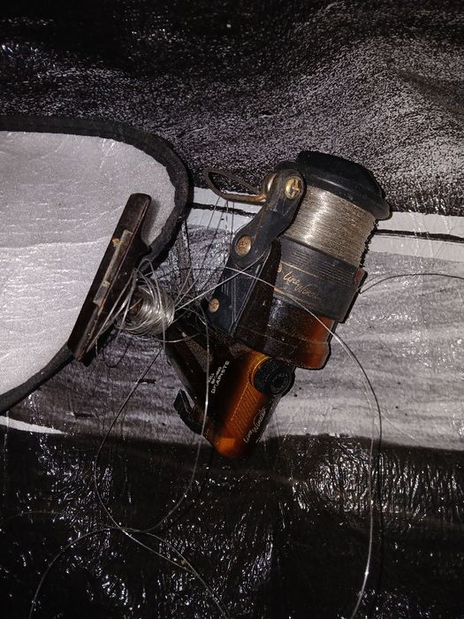 Molineta  pentru pescuit