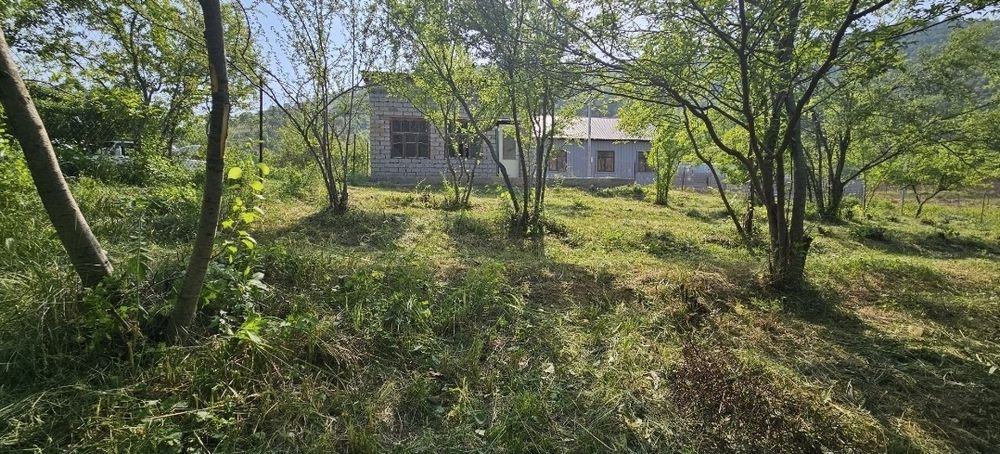 Dala hovli uchun yer uchastkasi