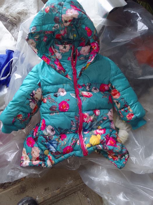 Отдам за вкусняшки.