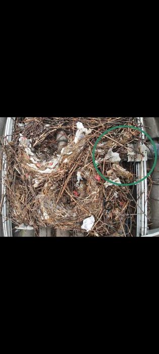 Protectie panouri fotovoltaice anti-păsari 250 lei  cu 80 elemente