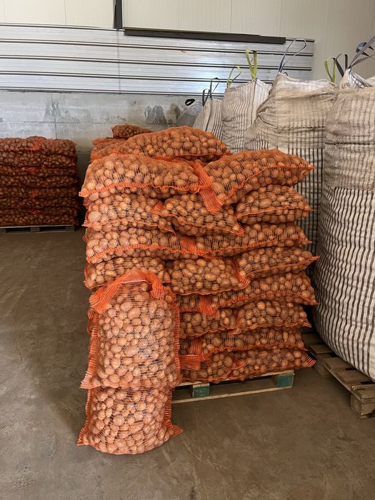 Cartofi pentru animale ambalat la 25 kg cu transport la domiciliu