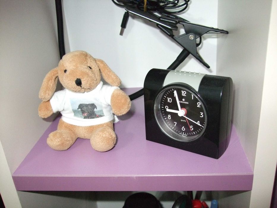 Fujifilm FinePix F40fd