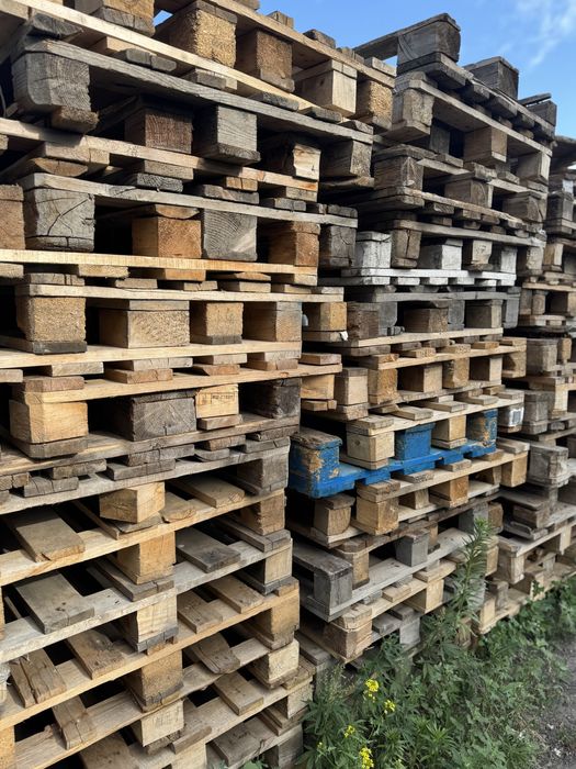 Продам евро/простые поддоны