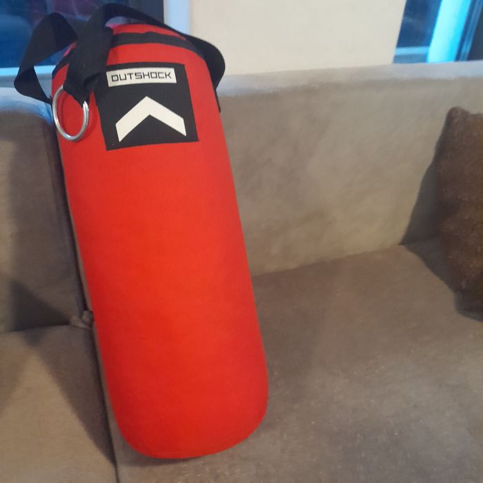 Sac și mănuși de box