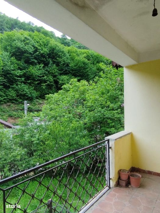 Valea Rosie, casa