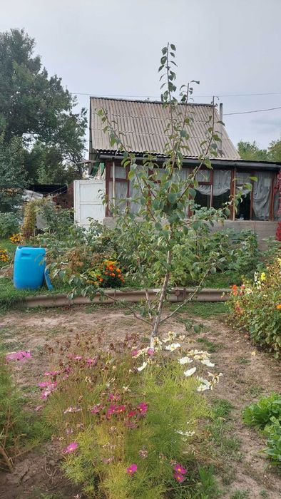 продам дачу каскелен