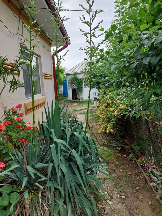 Vand casa de locuit si teren 4000 mp