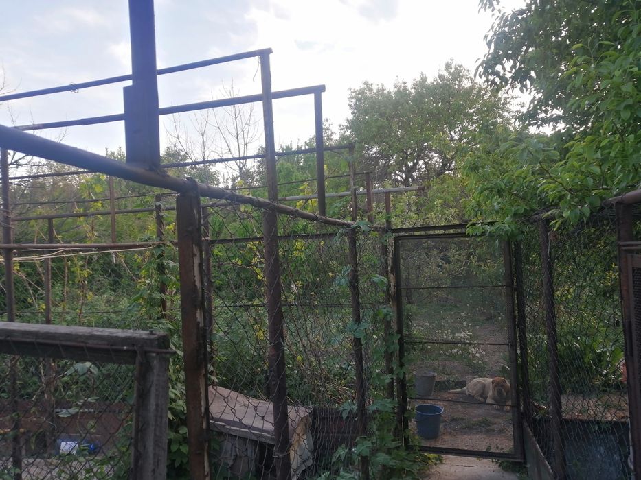 Дача. Район Чолдала