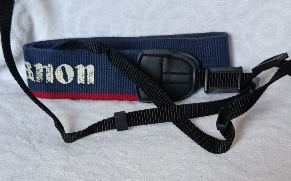Canon EOS 1000F body