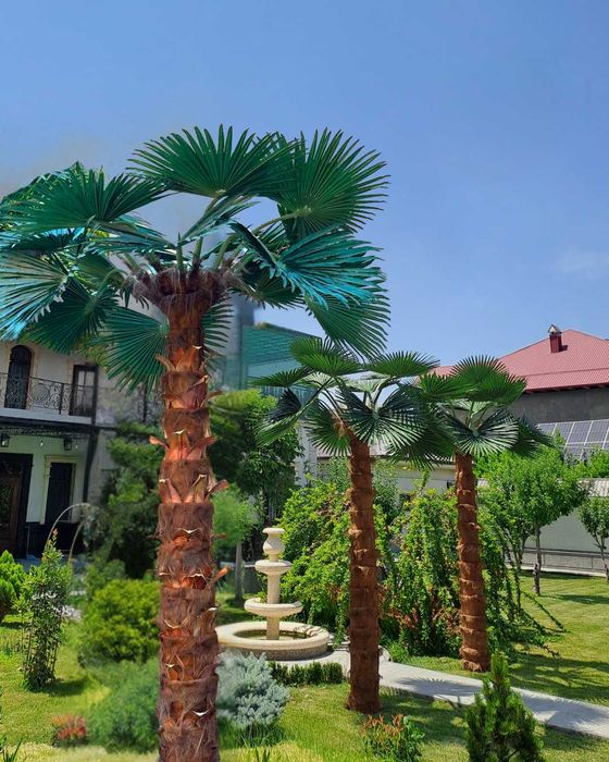 Эко пальмы со 30% скидкой | атмосфера тропиков для дома и бизнеса