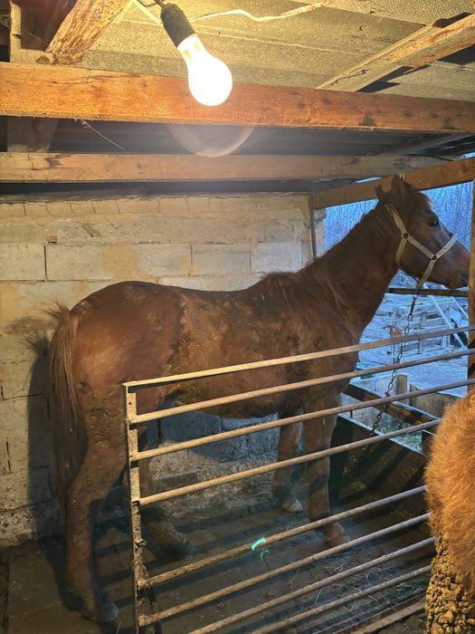 Байтал.сатылады