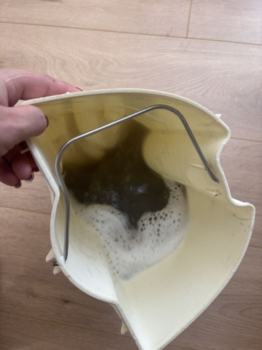 Cleaning_taza_aua