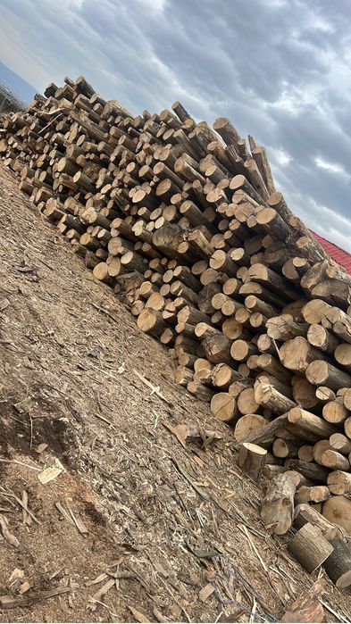 Lemn de foc uscat esenta tare