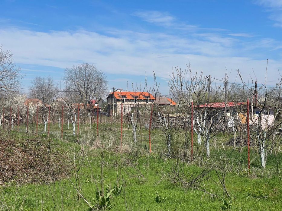Proprietar vând teren intravilan în satul Runcu comuna Dascalu