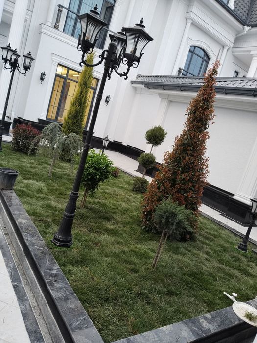 Ландшафтный дизайнер газон хизмати