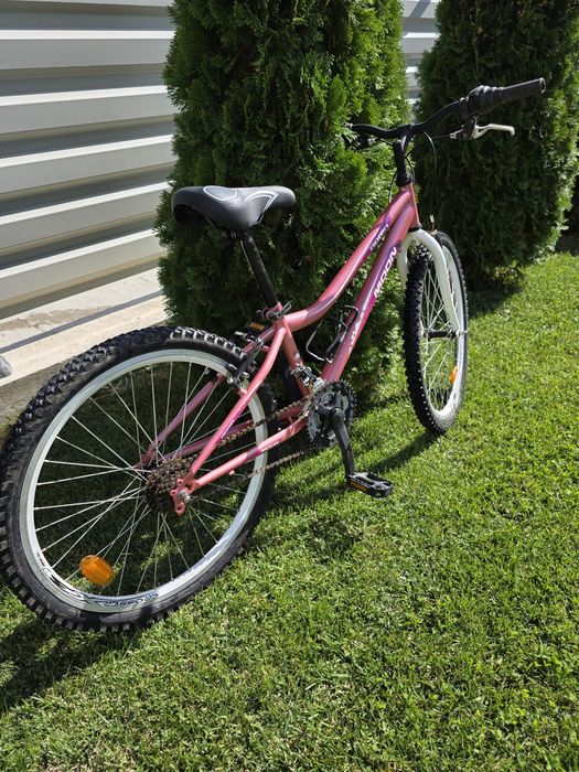 Bicicleta Adria Moon 24"