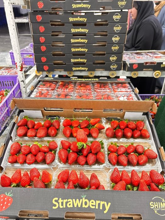 Египетская клубника