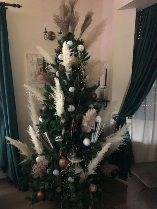 Brad craciun impodobit