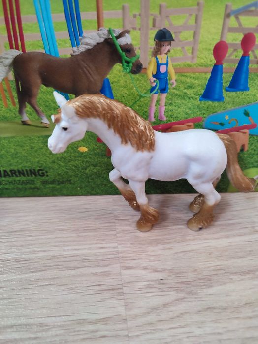 Caii schleich foarte bine îngrijit