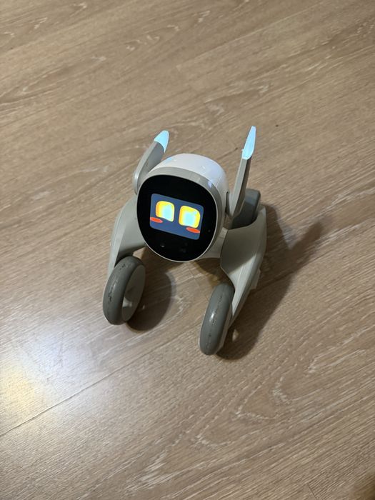 Vand robot Loona Petboot