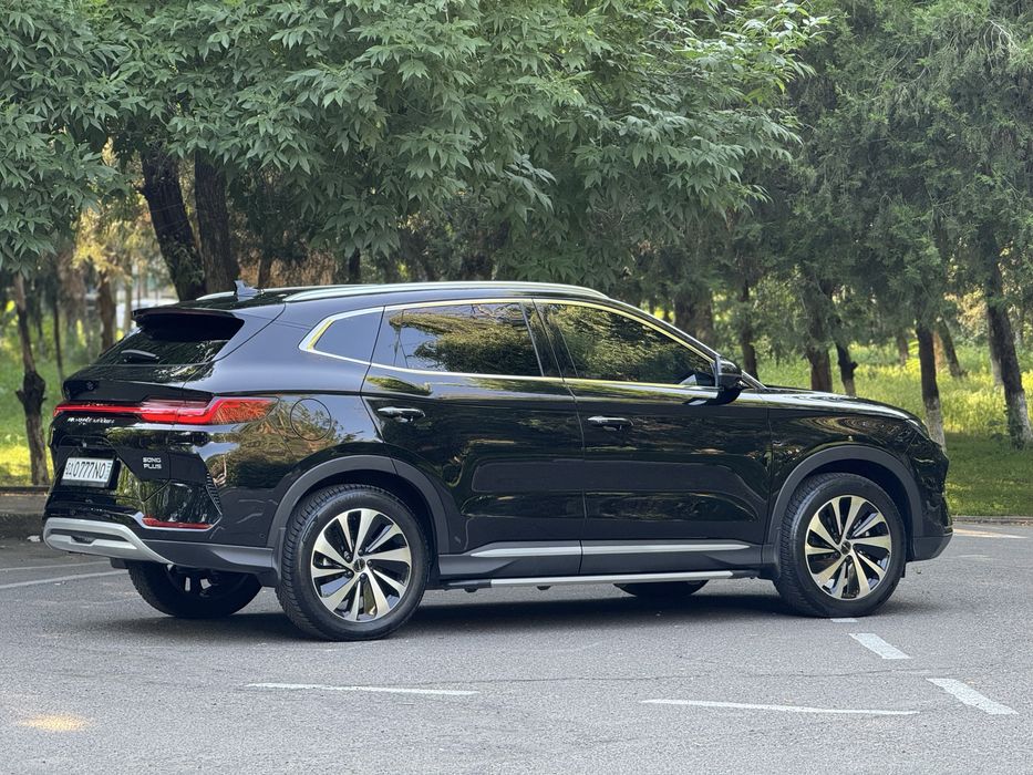 Byd song plus champion 605