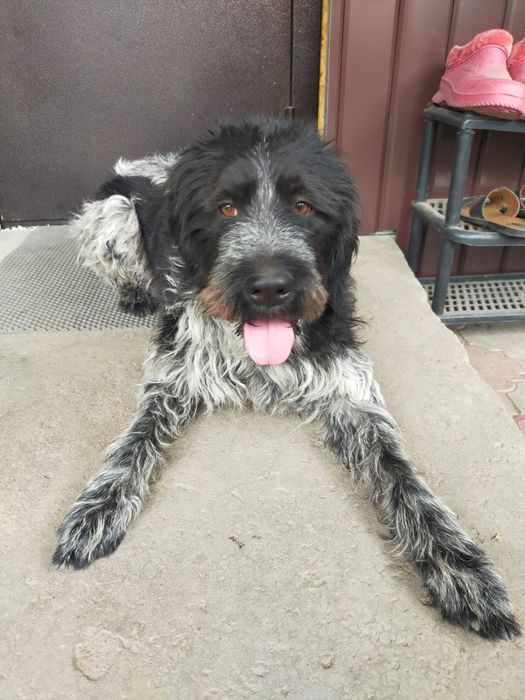 Кабель для случки Дратхар