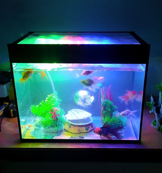 Аквариум прямоугольный