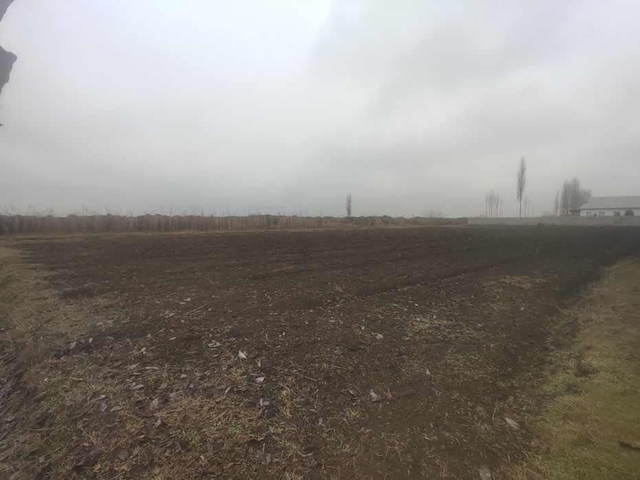 20 sotix 1 sotixgi 4 mingdan  2 xona uyi bor