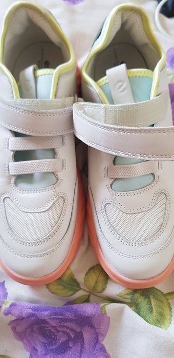 Pantofi sport ecco.