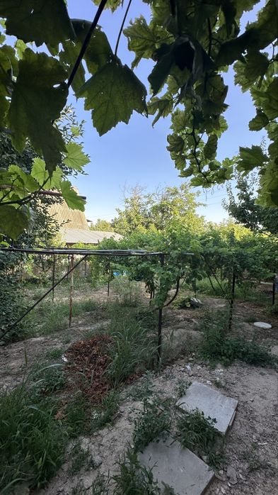 Dacha sotiladi прадаётся дача