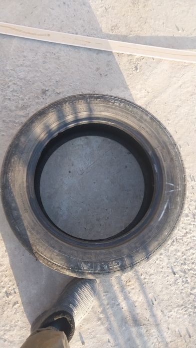 205.55 R16 2штуки