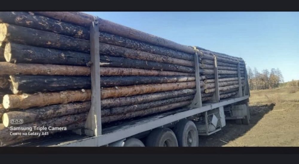 Пиломатериалы по супер цене!