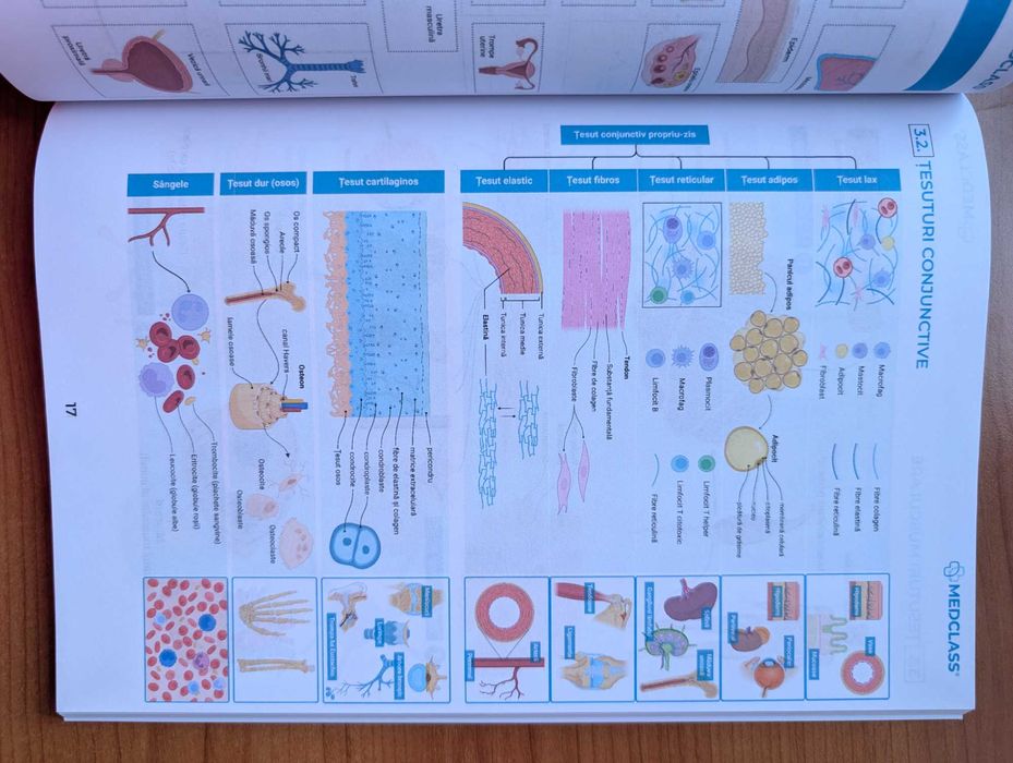 Vând Atlas de Anatomie MEDCLASS - CORINT