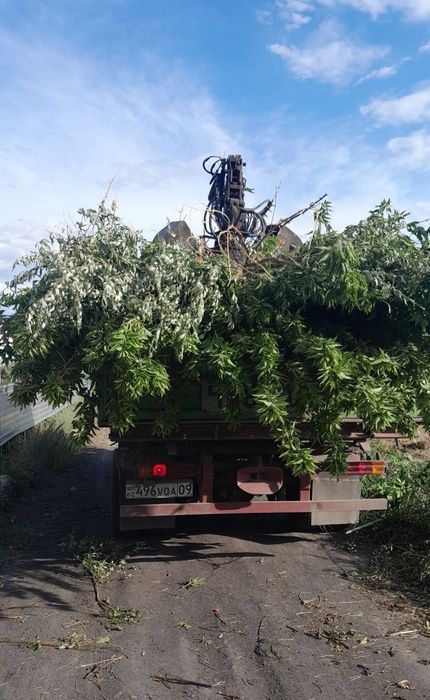 вывоз мусора, доставка угля услуги грейфера.вывоз снега.
