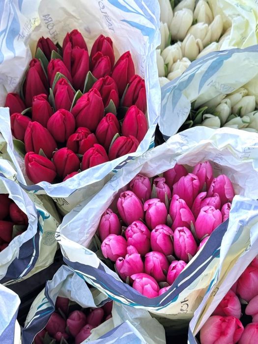 Крупные тюльпаны в наличии