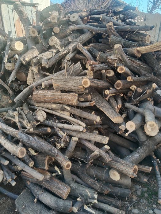 Отын отын сатамын тез арада